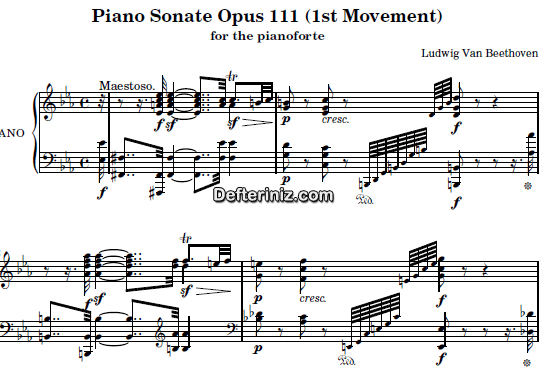 Beethoven Opus: 111, PDF Piyano Nota | Sonata No: 32 (1st Movement), Cm, Do Minör