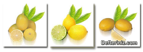 Derimi yapılmış farklı limon meyveleri.