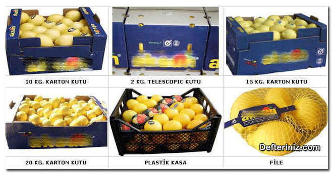 Farklı limon meyvesi ambalajlama kutu ve fileleri.