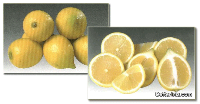 İtalyan memeli limon türü.