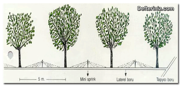 Malta eriği için ağaçların sulama sistemi.