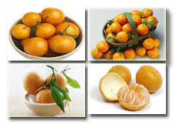 Derimi yapılmış farklı mandalina meyveleri.