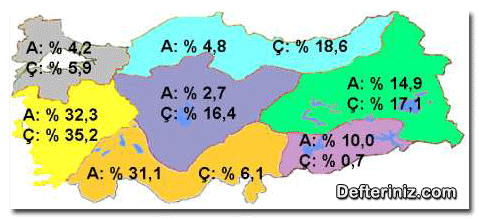 Organik tarım alanlarının bölgelere göre dağılımı (A; Anlaşmalı, Ç; Çiftçi şartlarında).