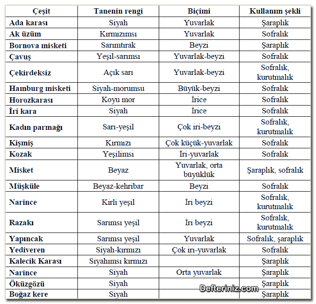 Türkiye’de yetiştirilen bazı üzüm çeşitlerinin özellikleri.