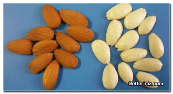 Sert kabuklu meyveler kırılarak yenilen iç badem ürünü (solda) Sağda ise ince dış kabuğu da soyulmuş olan iç bademler.