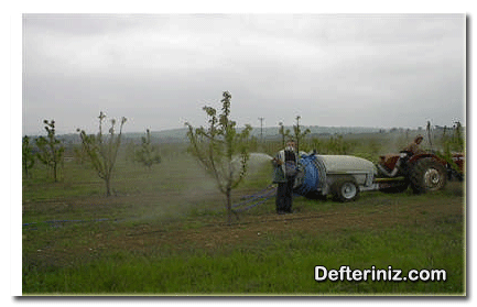 Elma bitkisinde kimyasal mücadele.