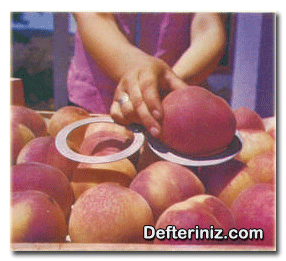 Şeftali meyvesi boylamada kullanılan halkalar.