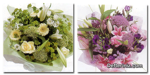 Trachelium bitkisinin çiçek düzenlenmesinde kullanımı.