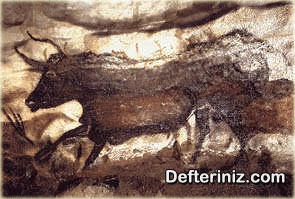 Paleolitik Çağ'a ait mağara resmi, lascaux (Fransa).