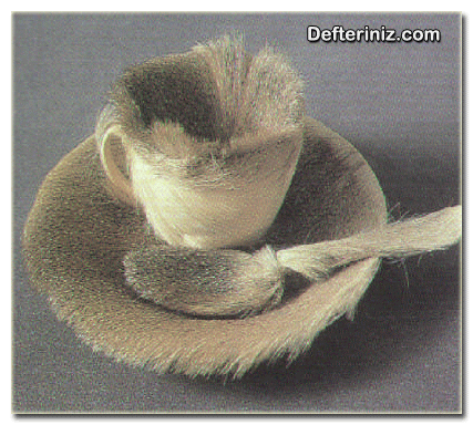 Dada - dadacılık (dadaizm) sanatından bir örnek daha. M.Oppenheim Kürklü Çay Fincanı.