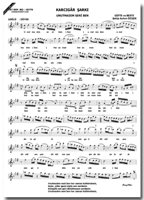 Unutmadım Seni Ben Her Zaman Kalbimdesin