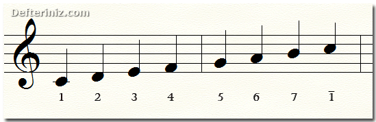 C majör dizi seslerinin derecelendirilmesi.