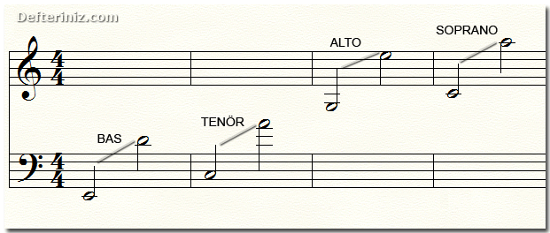 Bas, tenör, alto ve soprano için sesler ve sınırları.
