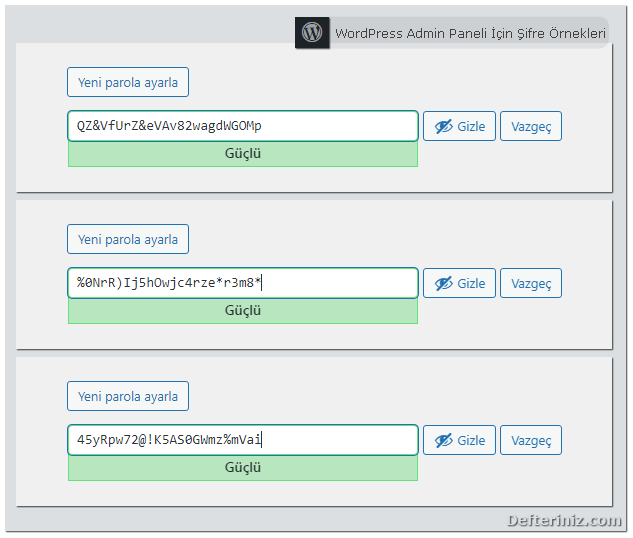 Wordpress admin paneli için şifre örnekleri